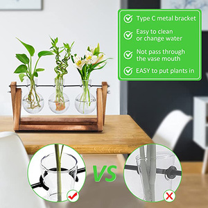 Estaciones de Propagación de Plantas de Escritorio, Terrario con Soporte de Madera, Regalo para Amantes de las Plantas, Macetas de Vidrio para Decoración de Bodas - Product Image 6