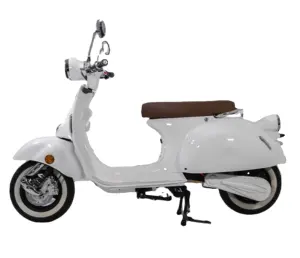 Поставка с завода EEC, 2-х колесный Электрический мотоцикл, электровелосипед, винтажный скутер