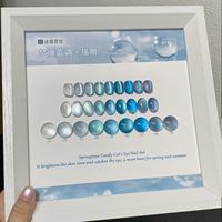 ZRKGEL Échantillon Gratuit Créez Votre Marque Formule Professionnelle de Salon Sans TPO ni HEMA Kit de Vernis Gel Magnétique Bleu Soak-Off