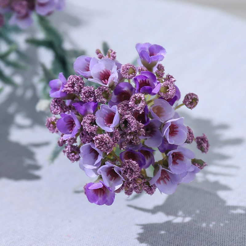 Violet