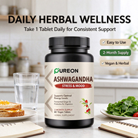 Comprimés d'Ashwagandha en marque blanche OEM avec 600 mg d'extrait de racine d'Ashwagandha, de racine de gingembre fermentée et d'un mélange de probiotiques