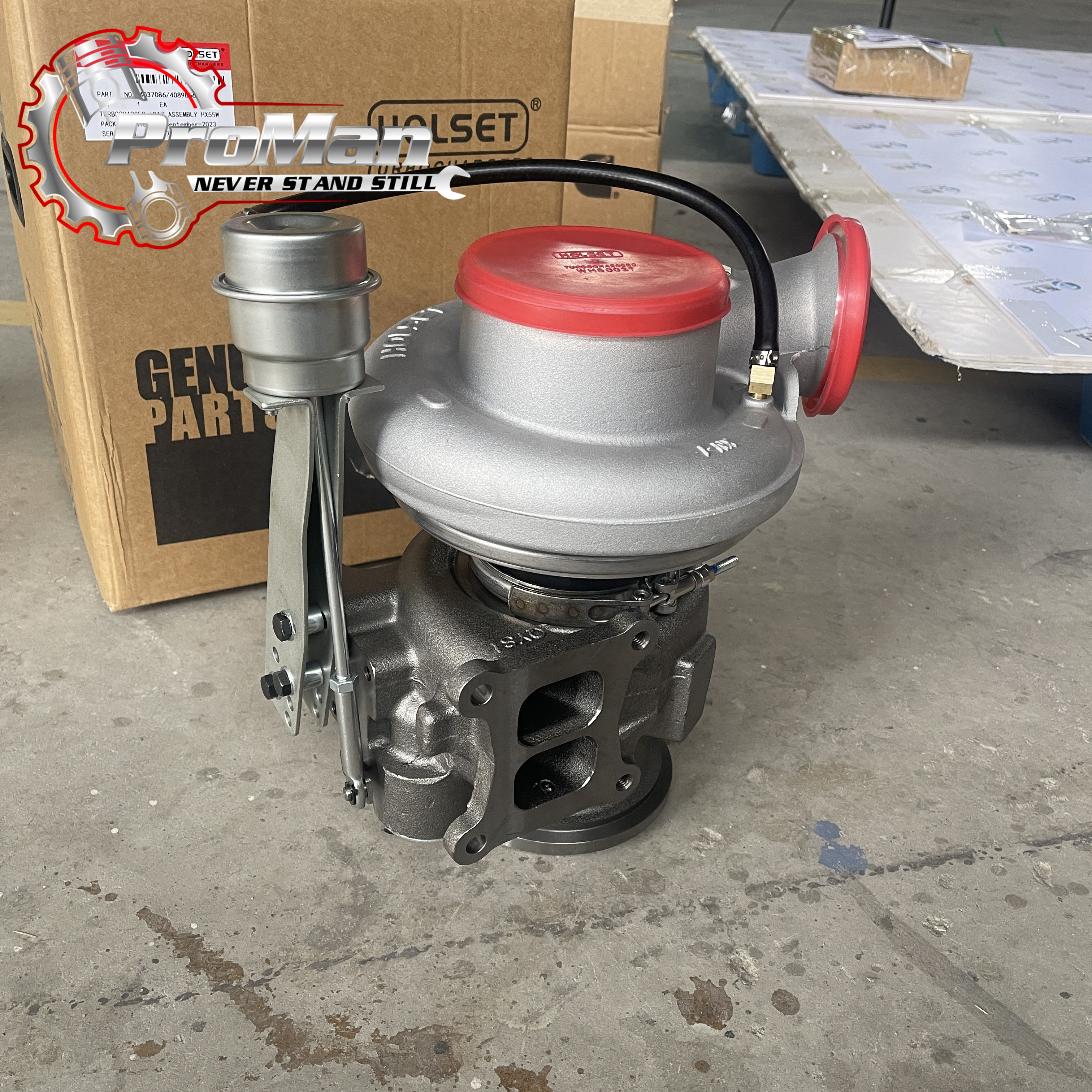 専用スゴウ40 専用スゴウ40 Amazon | KN企画 横綱 スーパーディオZX ライブ