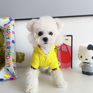 Ropa para mascotas para perros pequeños, sudadera con capucha amarilla, diseño bonito, ropa de otoño e invierno para Teddy Schnauzers y otras mascotas - Product Image 1