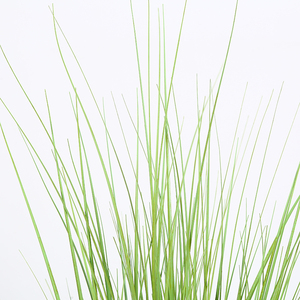Proveedor de <span class=keywords><strong>Amazon</strong></span> con decorativa plantador acuáticos hierba Mini planta de plástico Artificial con raíces hierba Bonsai - Product Image 5