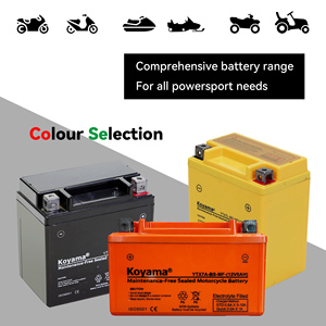 Batteries Sport sans entretien Batterie de moto <span class=keywords><strong>12V</strong></span> <span class=keywords><strong>12AH</strong></span> pour le démarrage - Product Image 6