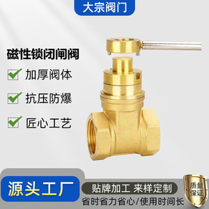 Válvula de Compuerta de Cobre Amarillo con Bloqueo Magnético de 1 Pulgada para Suministro de Agua en Sistemas de Tuberías - Product Image 5
