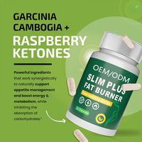 Complément OEM/ODM : Capsules de thé vert brûle-graisse, amincissantes, nettoyantes, probiotiques, détoxifiantes, à base d'extrait de thé vert et de fibres alimentaires
