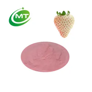 ISO22000 100% Pure Organic Fruit powder White strawberry extract/ Pineberry extract free sample