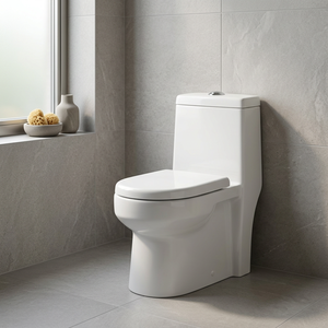 WC monobloc en céramique Dune européenne, chasse d'eau cyclonique, à poser au sol, blanc - Product Image 1