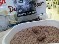 BENJIE 6L/10L/25L Litière pour chat en tofu 100% naturelle, hautement absorbante, biodégradable, écologique, à agglomération rapide