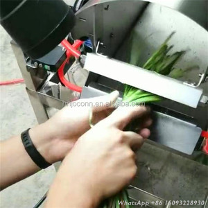 Pneumatische Frischzwiebel-Schälmaschine / Zwiebel-Wurzel-Schälmaschine mit Hochdruck-Gas-Spülung zur Schmutzentfernung - Product Image 5