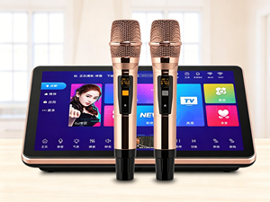 Máquina de Karaoke Portátil Todo en Uno de 6 TB y 18.5 Pulgadas con Pantalla Táctil, Micrófonos Inalámbricos para Fiestas en Casa y al Aire Libre - Product Image 1