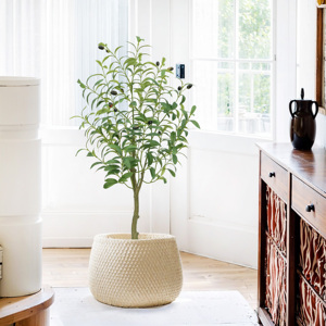 Presque Naturel 3ft Artificielle Petits Oliviers <span class=keywords><strong>Pot</strong></span> Table Plante Mini Arbre <span class=keywords><strong>pour</strong></span> Intérieur Maison Bureau Salon Décoration Moderne - Product Image 2