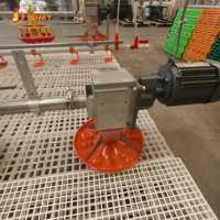 Équipement d'alimentation pour poulets de chair, système d'alimentation automatique par plateau pour élevages avicoles, fabricant direct d'usine, solution complète