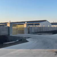 Estructura de Acero Ligero Prefabricada para Naves Agrícolas, Soldadura y Corte, Instalación Rápida para Almacenamiento Multiusos de Animales