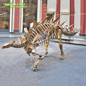 <span class=keywords><strong>Esqueleto</strong></span> de Dinosaurio <span class=keywords><strong>Estegosaurio</strong></span> Tuojiangosaurus de Tamaño Real en Venta - Product Image 1