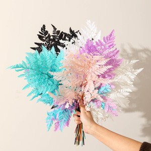 Foglie di Papparella Arachniodes Essiccate per Decorazioni di Bouquet Nuziali, Fiori Secchi - Product Image 3