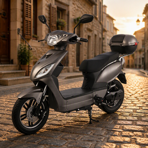 Scooter pour adultes 1000w 48v homologué ODM OEM EEC COC pour le marché européen - Product Image 3