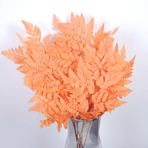 Foglie di <span class=keywords><strong>Felce</strong></span> Arachniodes Preservate, <span class=keywords><strong>Felce</strong></span> in Pelle Multicolore, Foglia Piatta Essiccata per Bouquet Floreali dalla Fabbrica dello Yunnan - Product Image 4