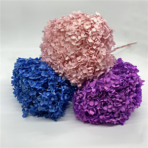 Hot Sale High Quality Room Wall Decoration Valentine's Day Preserved <strong>Hydrangea</strong> with Stem <strong>Artificial</strong> <strong>Hydrangea</strong> Flower - Product Image 2
