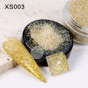 Atacado New Gold Glitter Dust 500G Bulk Fine Glitter Em Pó Para Resina Keychain Custom Shaker Charme