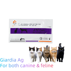 고양이 파보 바이러스 칼시 바이러스 코로나 바이러스 포진 4 가지 방법 맞춤형 키트 FPV + FCOV + FCV + FHV 수의학 신속 검사 - Product Image 4