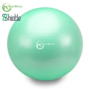 Zhensheng logo personnalisé ballon de yoga ballon d'exercice de gymnastique équipement de fitness accessoire d'exercice de gymnastique ballon de pilates