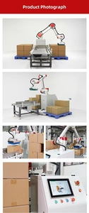 Robot Apilador Automático para Cajas Pesadas, Máquina Paletizadora para Envasado de Alimentos y Bebidas, PLC Industrial Colaborativo - Product Image 5