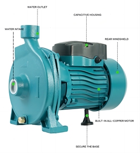 Pompe centrifuge domestique <span class=keywords><strong>CPM158</strong></span> 0,75 kW 1 CV avec corps en fonte et fil de cuivre, OEM - Product Image 5