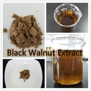 고품질 10:1 Juglans Nigra 선체 분말 무료 샘플 음식 급료 유기 까만 호두 추출물 - Product Image 2