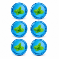 Tablette de douche effervescente à la menthe OEM ODM 30g, étiquette privée personnalisée, ensemble cadeau spa apaisant et relaxant pour la douche