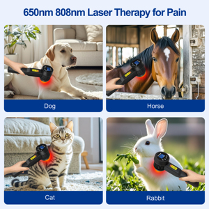 Macchina per Terapia Laser a Diodi a Luce Rossa di Alta Qualità per Sollievo dal Dolore, Anti-infiammazione, Mal di Schiena ed Ernia del Disco - Product Image 4