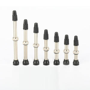 Prix <span class=keywords><strong>Discount</strong></span> 40/60MM vélo Presta Stem Mountain French Vacuum Air buse vélo sans chambre à Air Valve de pneu - Product Image 6