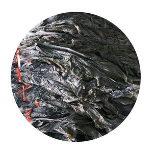 Üretici Toptan Fabrika Doğrudan Satış Kalın Etli Bütün Kelp Başlığı AD Laver Doğranmış 500g Toplu Halde Su İçinde Saklanmış - Product Image 4