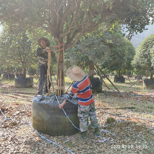 HOKBG-Bolsa de cultivo de maceta de tela tejida de polipropileno anti-UV, resistente, 75 galones, proveedor de vivero, bolsa de jardín para árboles - Product Image 3