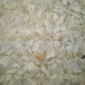 Vente chaude délicieuse salade de méduses salées prix de gros, délicatesse de fruits de mer vietnamiens croustillants et acidulés - Product Image 1