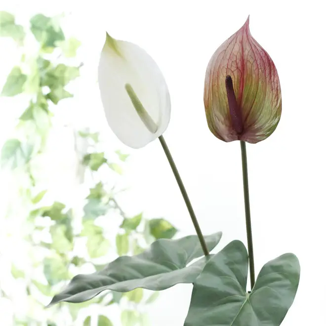 Y0033-1 Grosir Bunga Hias Rumah 3D Gagang Panjang PU Buatan Anthurium
