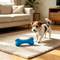 YMH Nouveauté Jouet à mâcher en TPR en forme d'os multicolore mignon pour chien, pour le nettoyage des dents et des molaires, jeu interactif