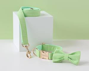 Ensemble personnalisé vert clair, velours côtelé pour chien garçon, collier de chien de mariage, collier de chiot et arc de plomb, livraison gratuite au Royaume-Uni - Product Image 1