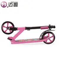 100kg Max User Loading Zweirad Roller für Erwachsene Zwei große Räder billiger Fuß roller