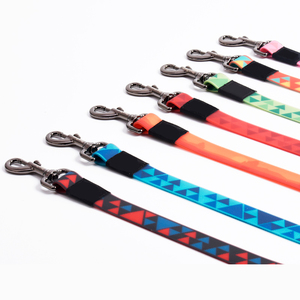 <span class=keywords><strong>Collar</strong></span> de colores para perro, correa de empalme, productos para mascotas, 2023 - Product Image 1