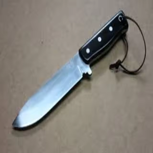 100% <b>Natural</b> Eco-Friendly Buffalo Horn Folk Art Door Handles Comfortable Grip Painted <b>Best</b> Quality Size Meticulously Selected - Product Image 3