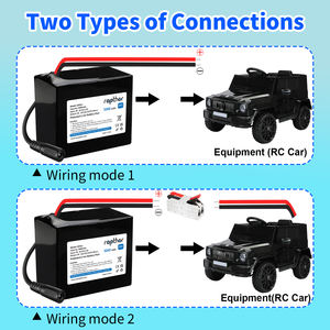 Rapthor 24v 5000mah נטענת ליתיום סוללה נטענת ליתיום סוללה נטענת ליונים - Product Image 4