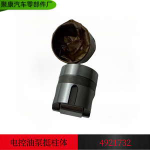 Cuerpo de Válvula de Bomba de Combustible 4921732 para Motor Cummins ISLEQSL, Pieza de Repuesto Nueva - Product Image 5
