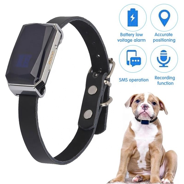 2023 Wholesale Locator for Dog Cat Tractive Gps Waterproof Real-time Tracking Collar Pet tracker