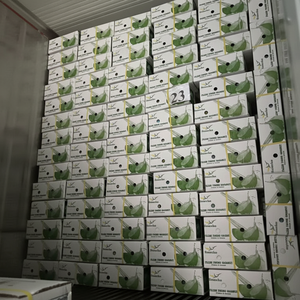 ต้นมะพร้าวอ่อนธรรมชาติสดพืชราคาถูกโรงงานเปิดง่ายจากเวียดนาม - Product Image 1