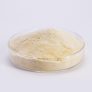 Aislado de Proteína de Levadura 100% Puro de Alta Calidad y Pureza, Vegano en Polvo, 24 Meses de Vida Útil para Alimentos Funcionales y Dietéticos - Product Image 1