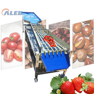 Machine de tri de fruits à grande vitesse, machine de calibrage automatique multifonctionnelle pour fruits de petite, moyenne et grande taille - Product Image 1