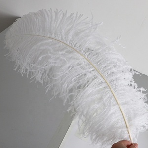 Vente en gros de grandes <span class=keywords><strong>plumes</strong></span> d'autruche <span class=keywords><strong>blanches</strong></span> pour décoration de mariage, artisanat, centre de table de fête de carnaval, motif teint - Product Image 6