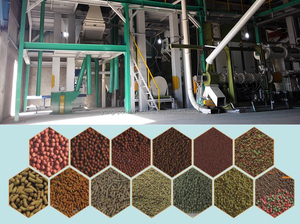 Máquina Extrusora de Ração Flutuante Personalizada de 1-6TPH para Produção de Ração de Fórmula Especial para Espécies de Peixes do Mercado <span class=keywords><strong>Local</strong></span> na Malásia - Product Image 4